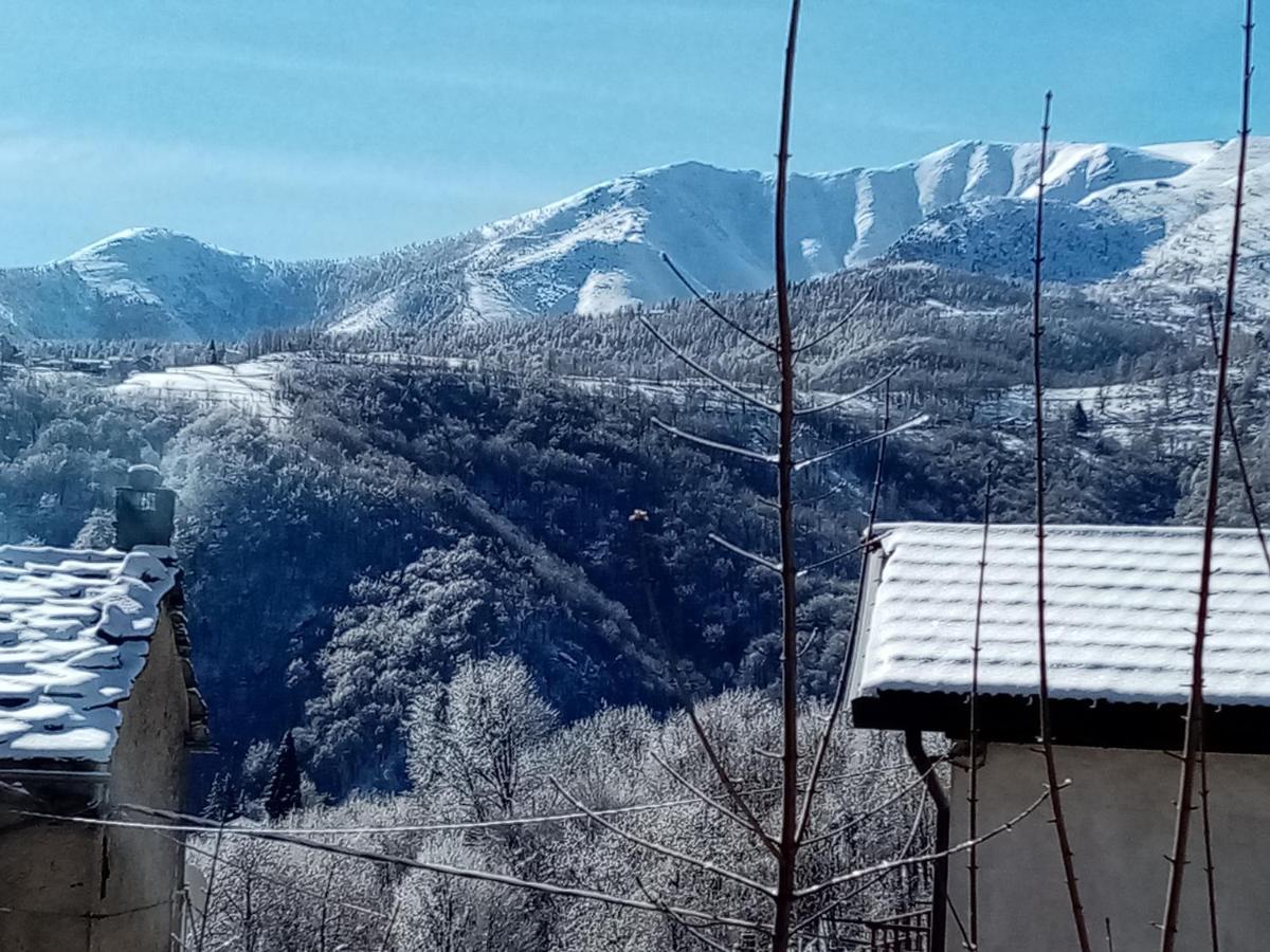 B&B La Marmotta Coazze Dış mekan fotoğraf